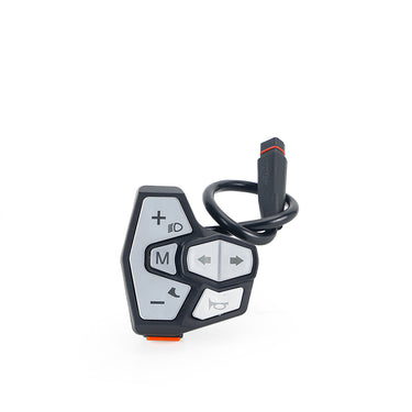 TFT Display for Daytona